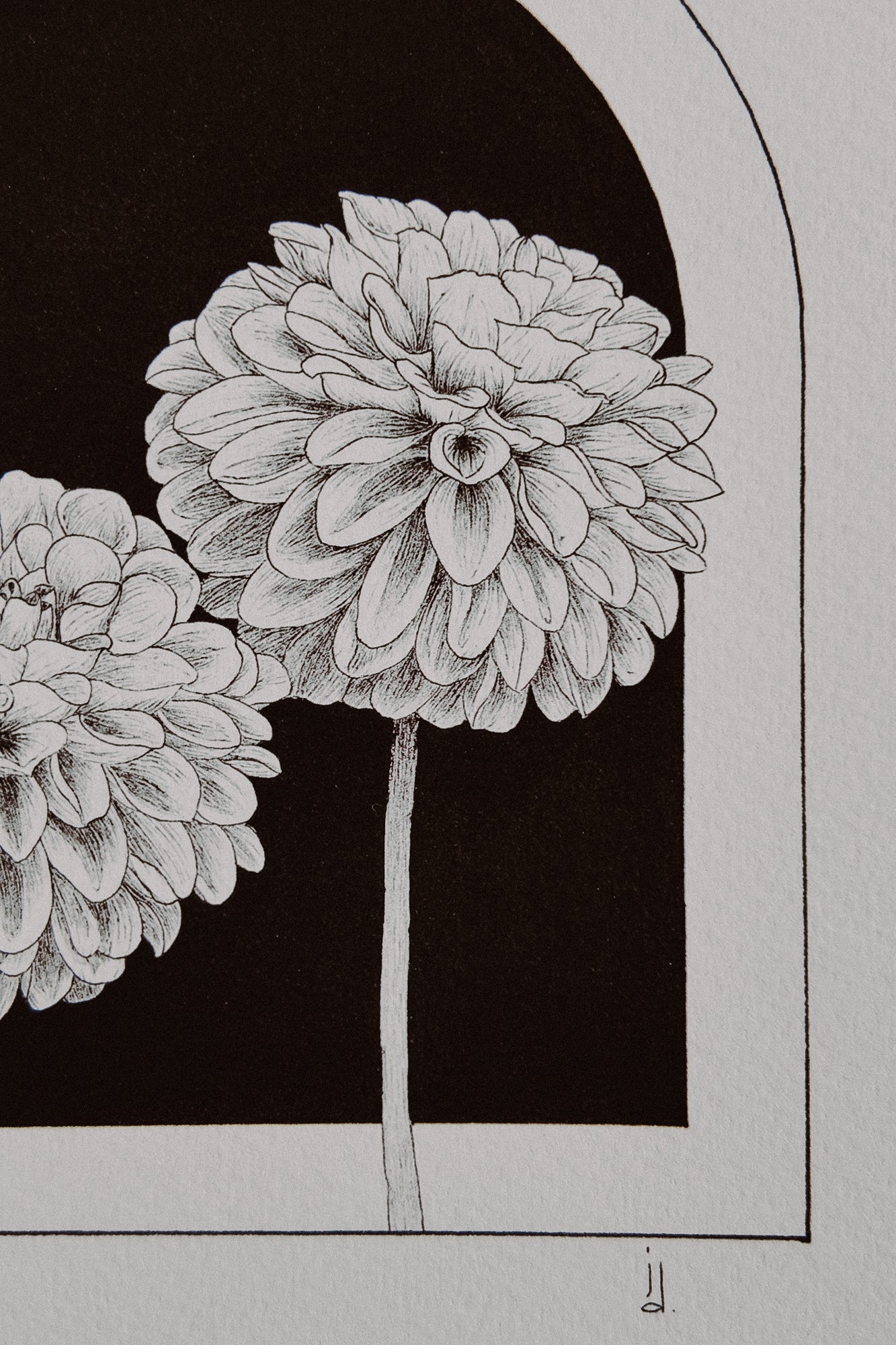 Framed Dahlias Print