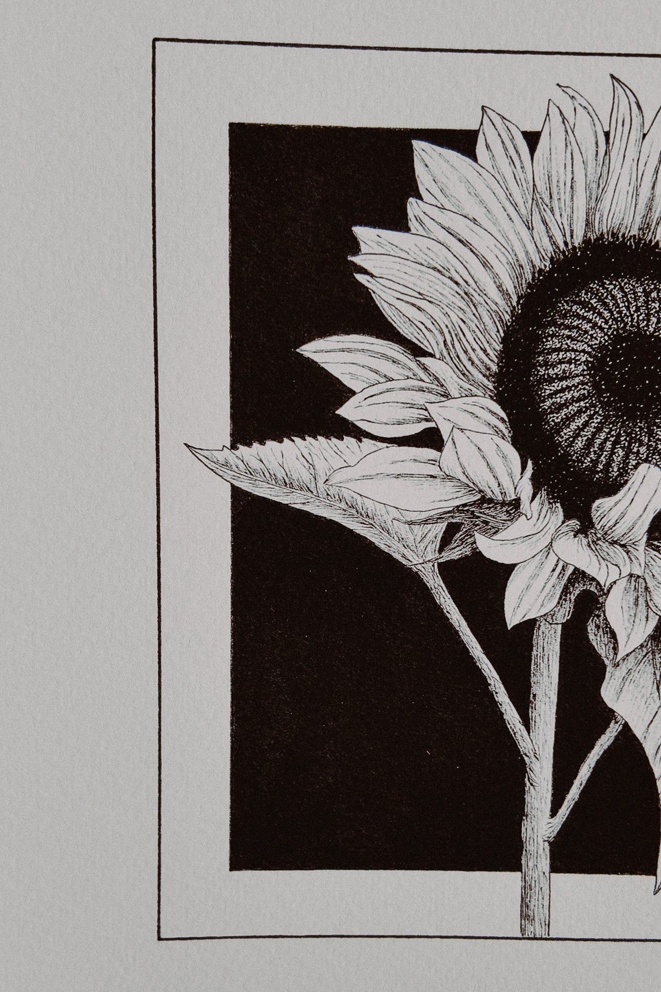 Framed Sunflower Print