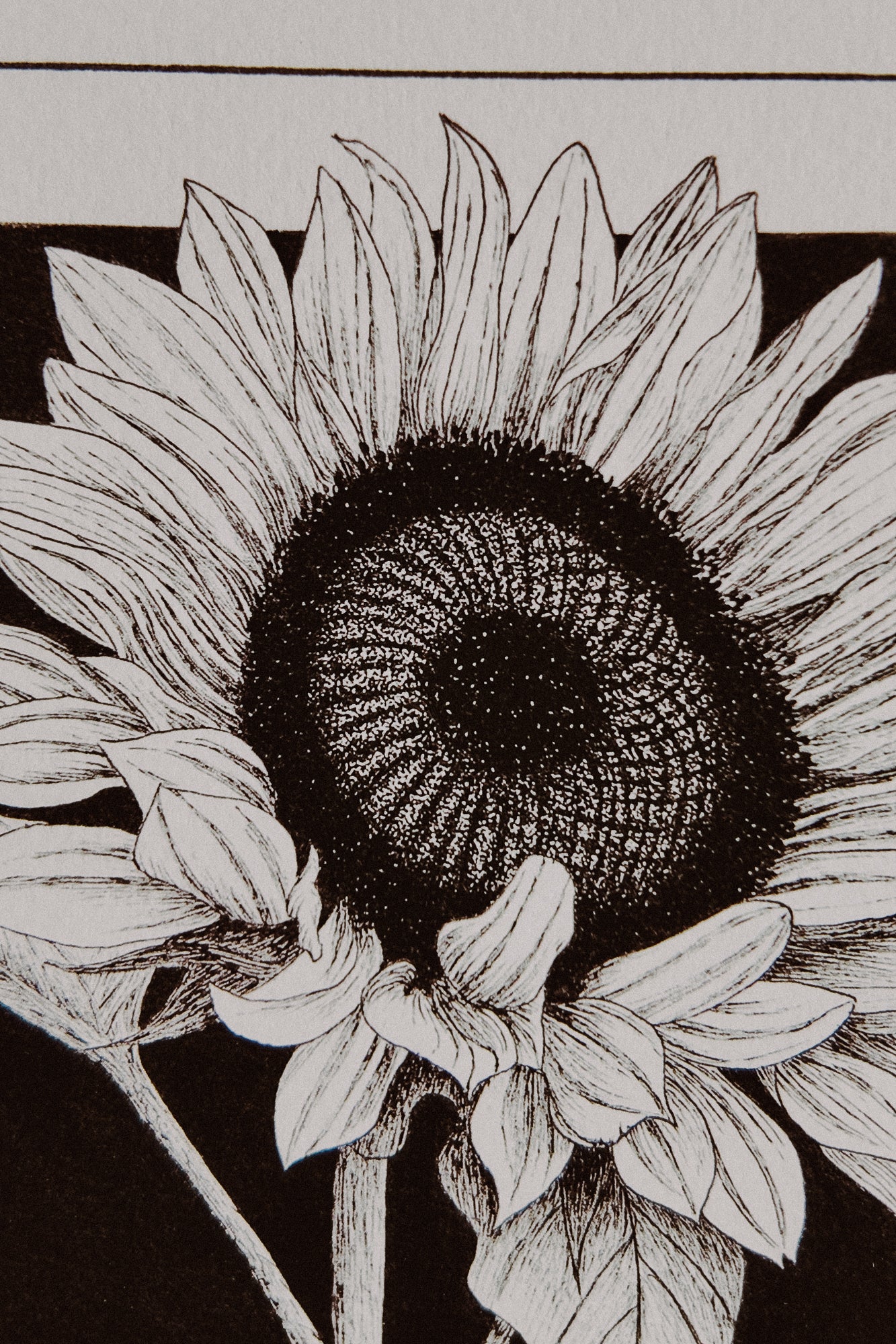 Framed Sunflower Print