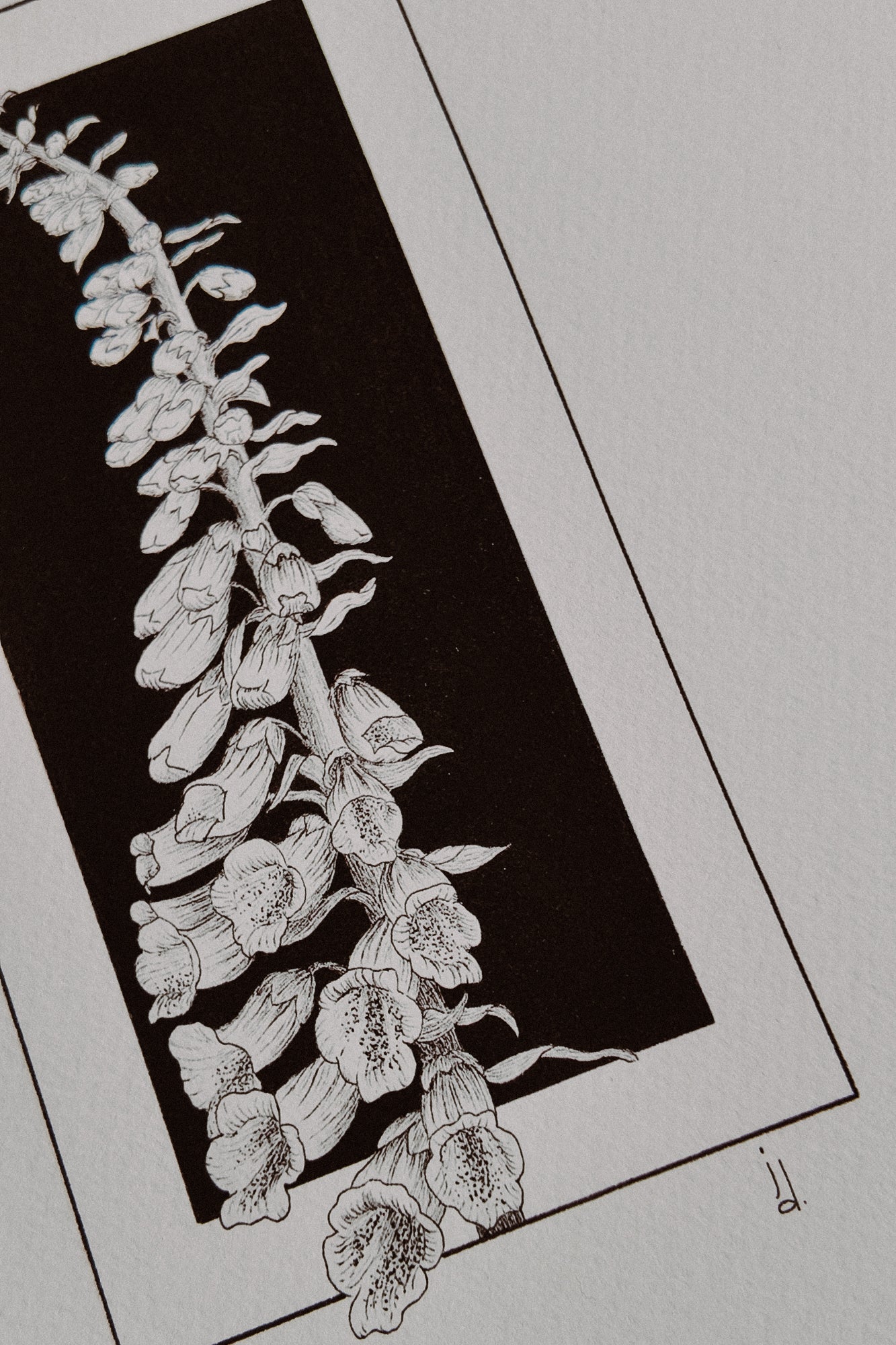 Framed Foxglove Print