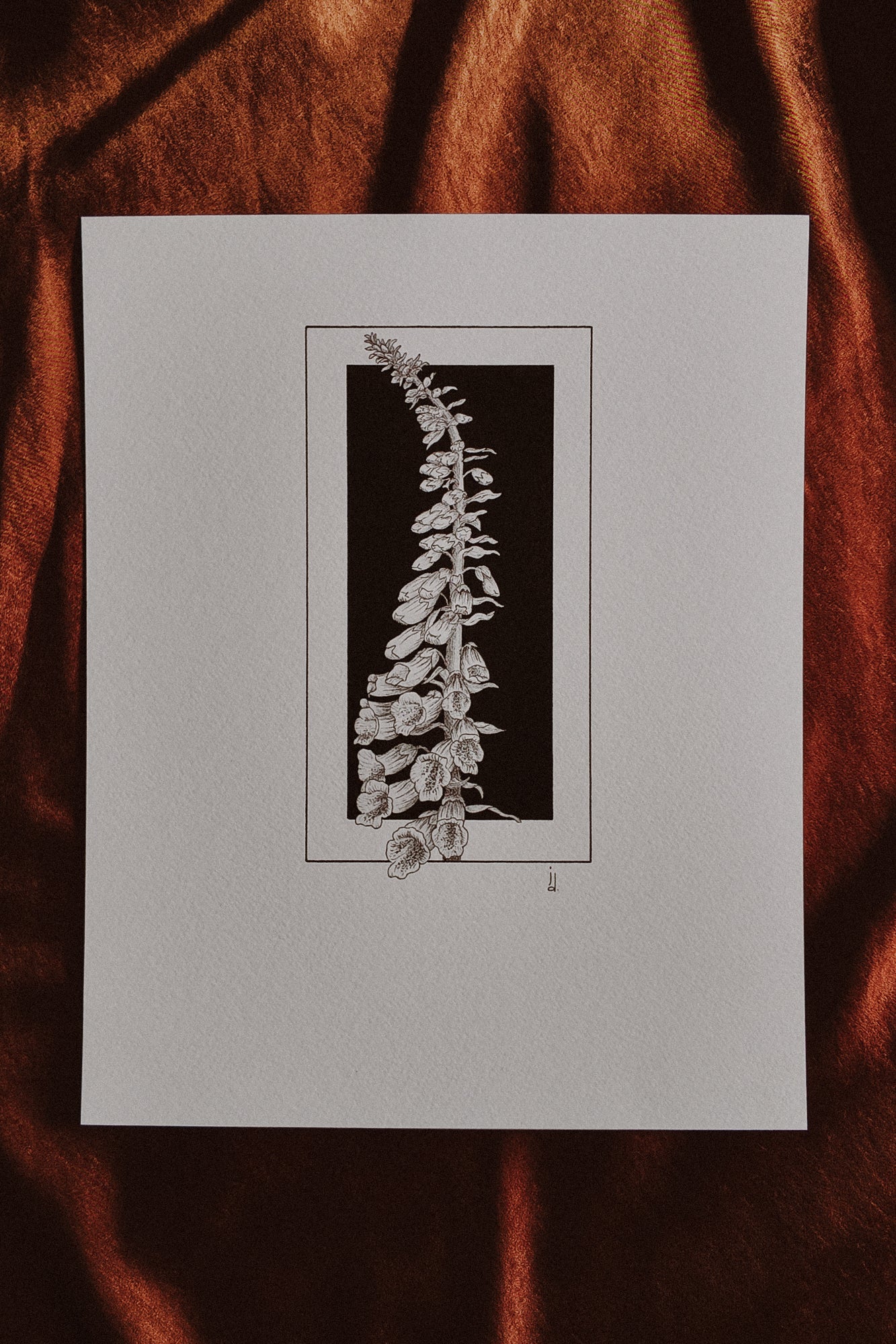 Foxglove Print