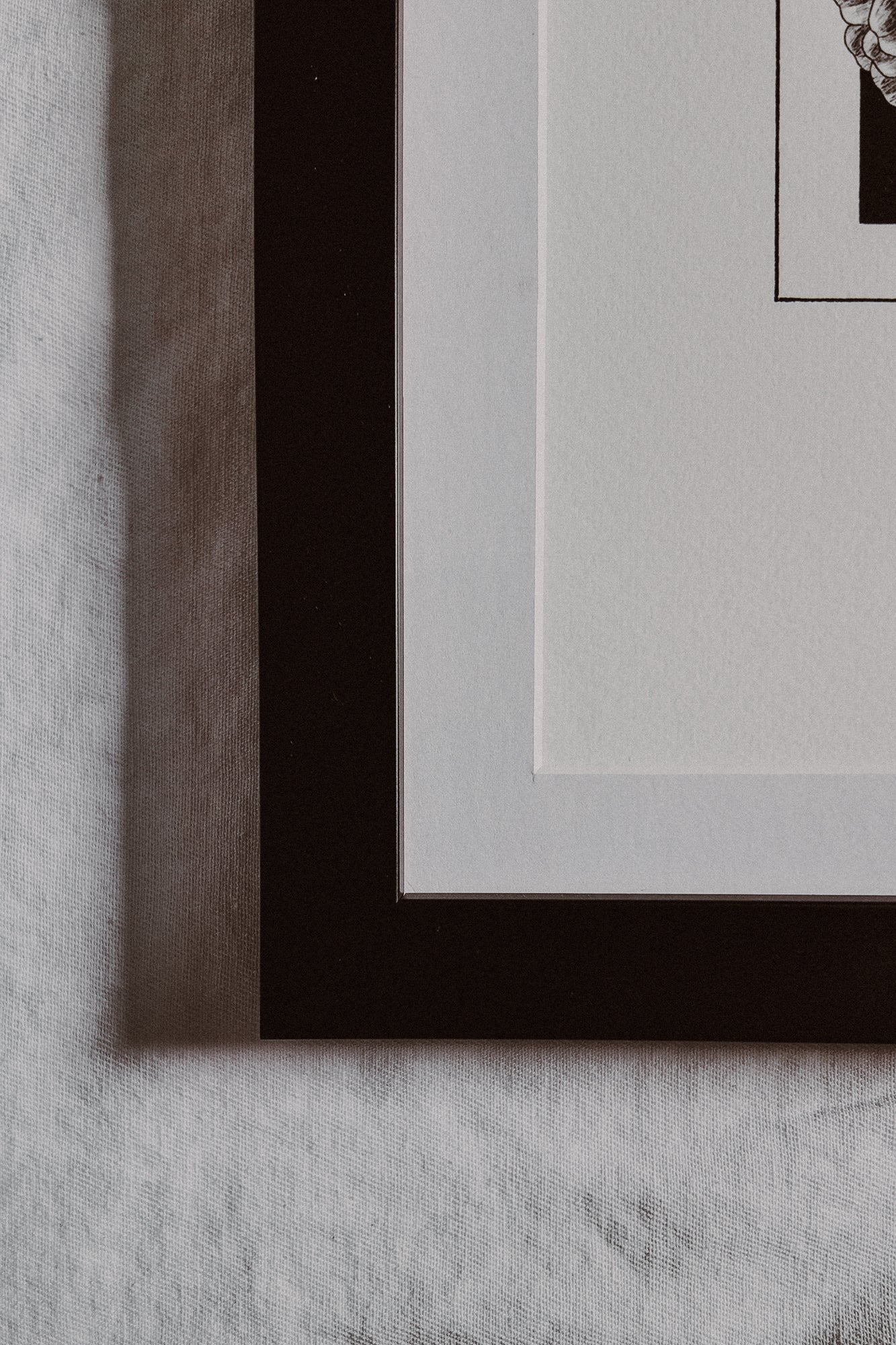 Framed Dahlias Print