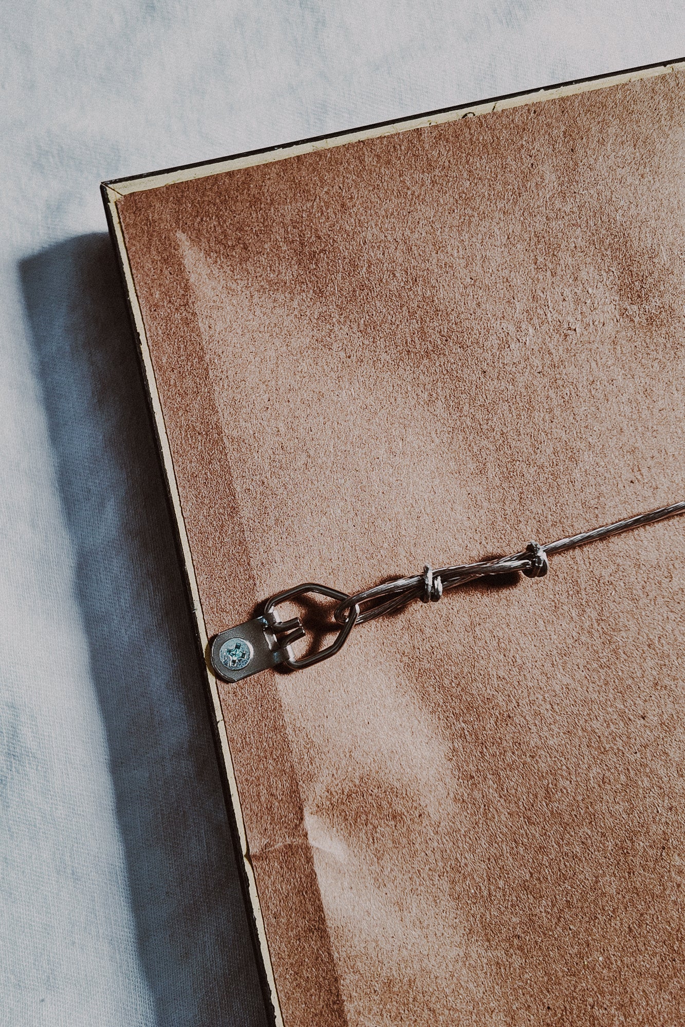 Framed Dahlias Print