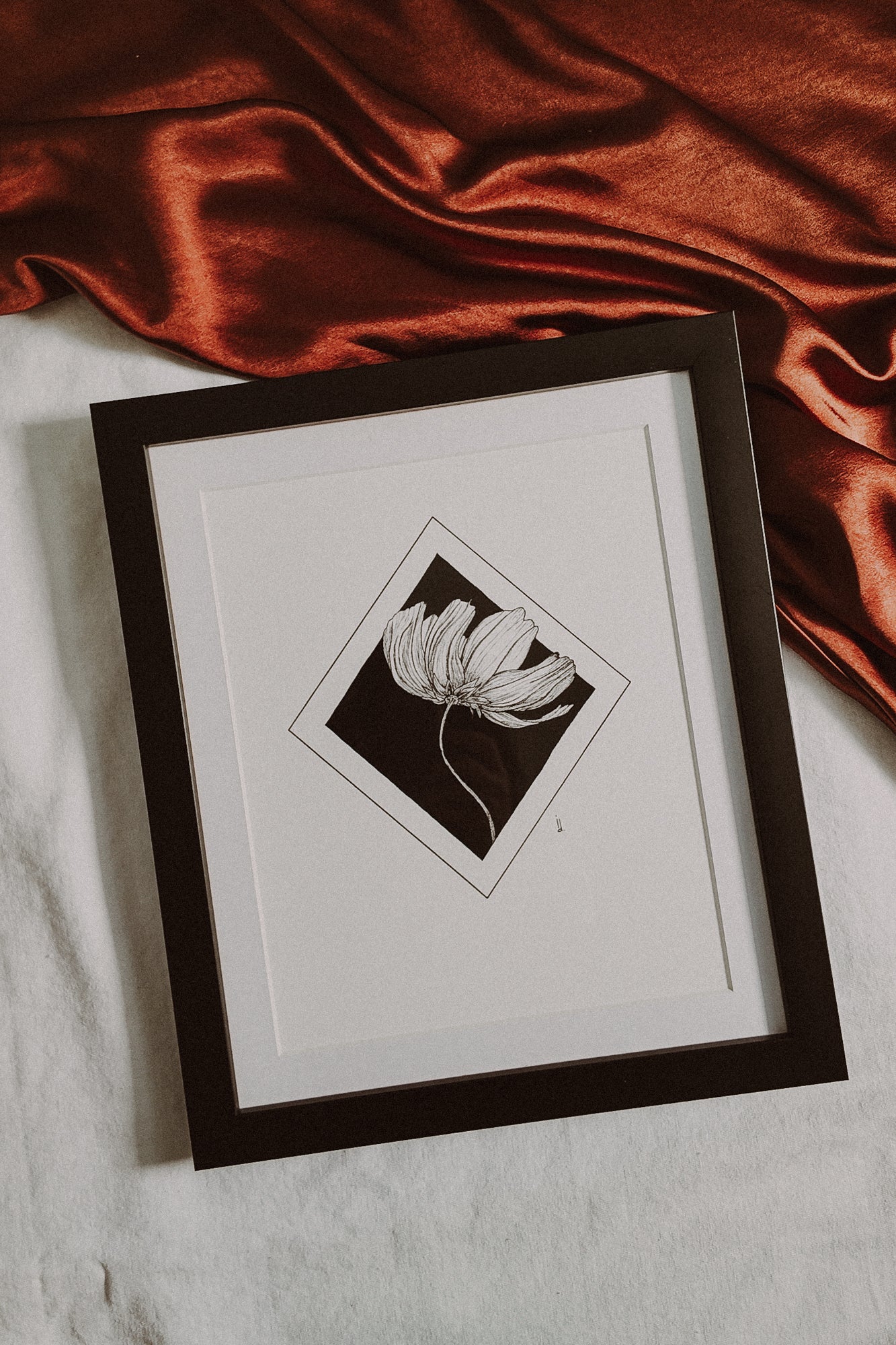 Framed Cosmos Print