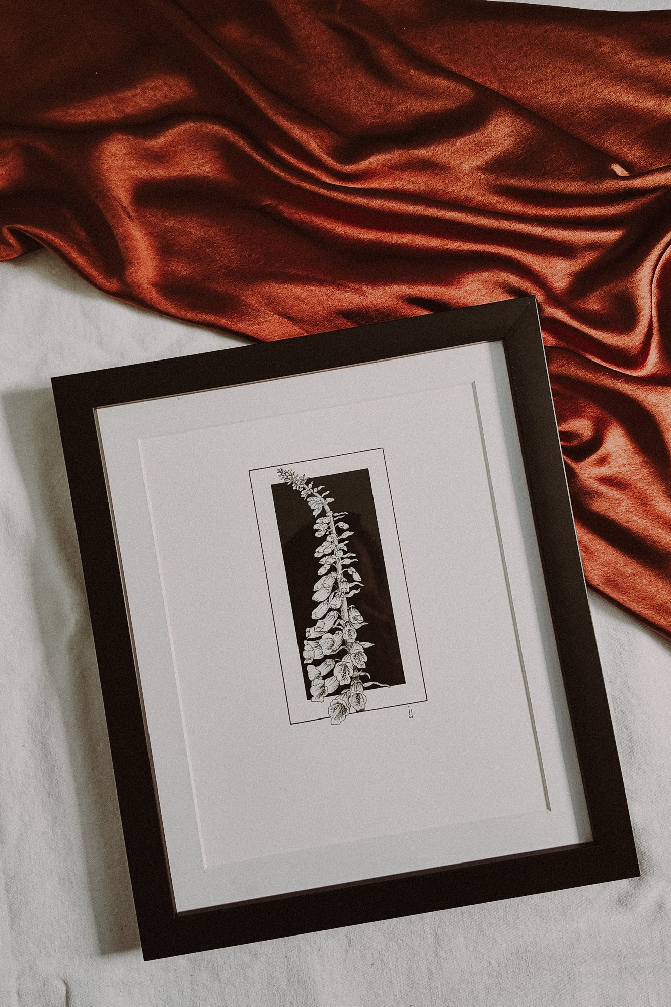 Framed Foxglove Print