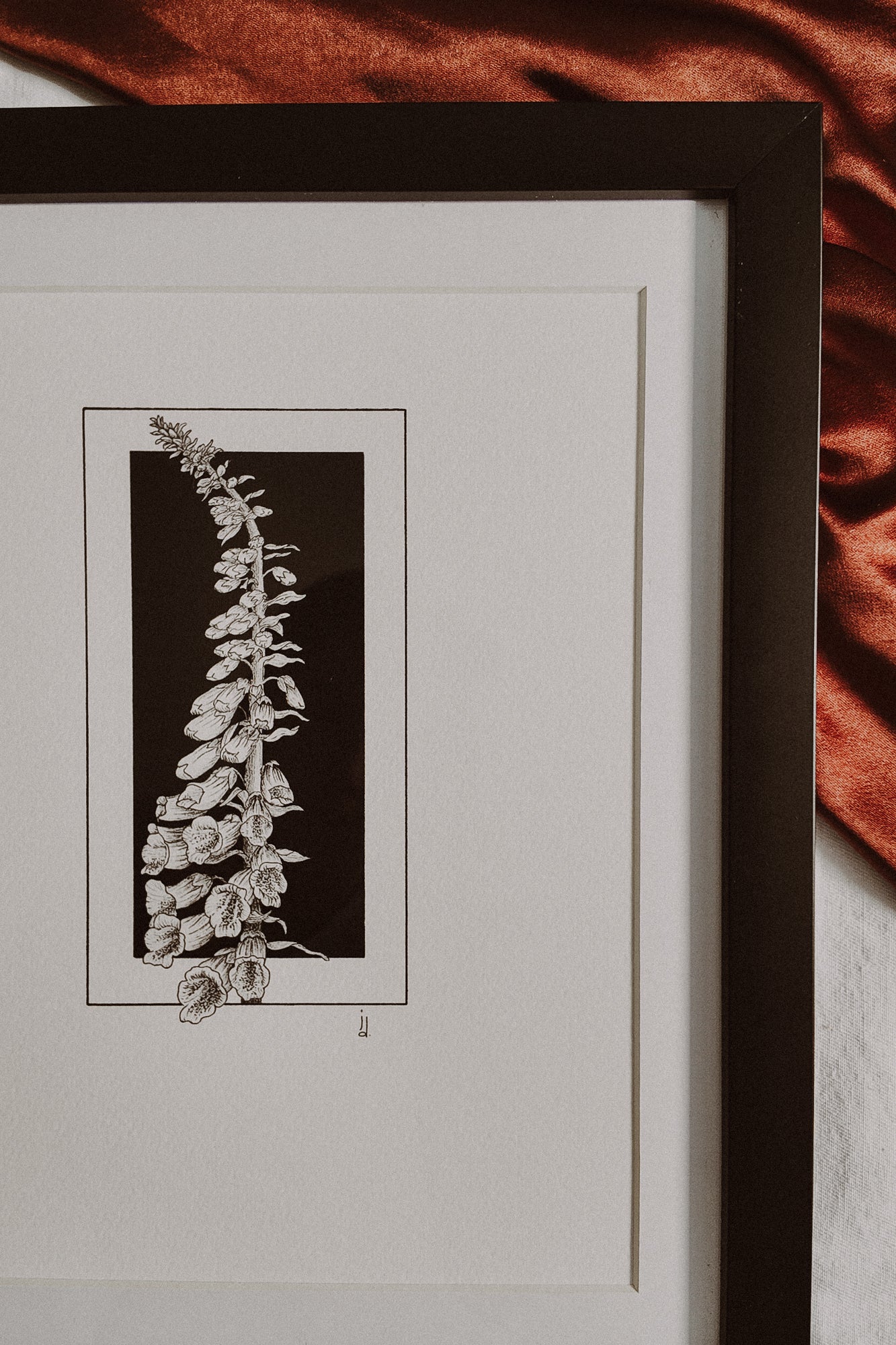 Framed Foxglove Print