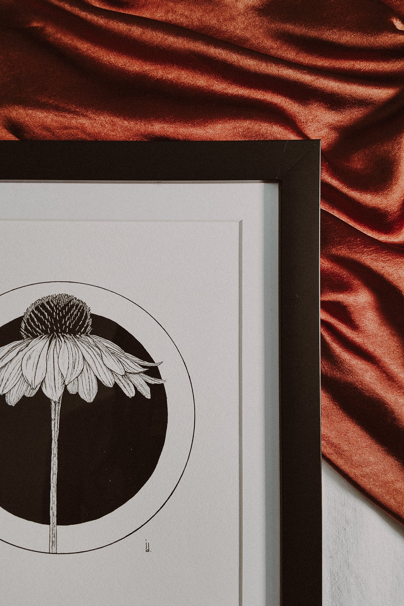 Framed Coneflower Print