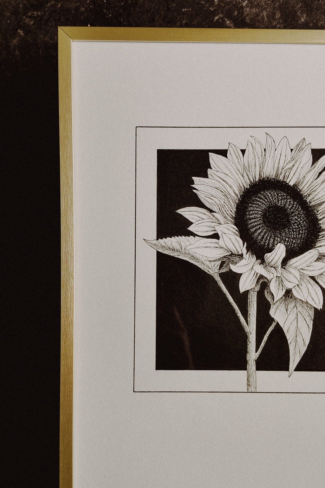 Sunflower Original
