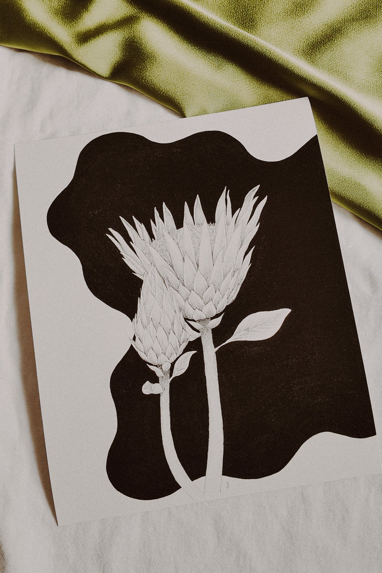 Protea Print
