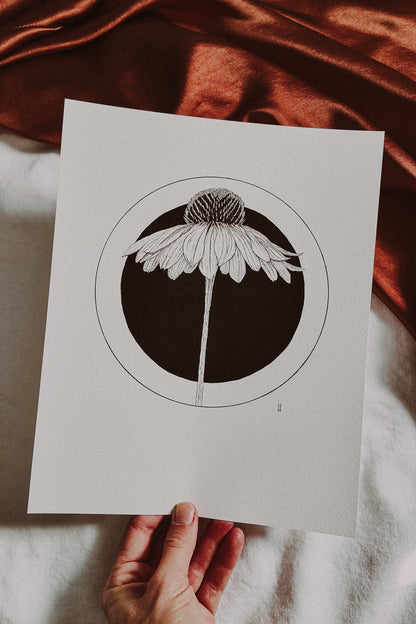 Coneflower Print