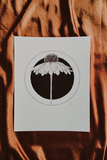 Coneflower Print