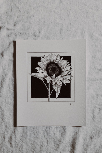 Sunflower Print