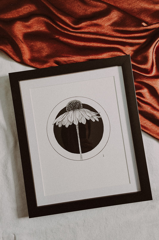 Framed Coneflower Print