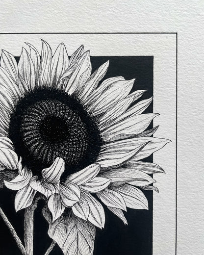 Sunflower Original