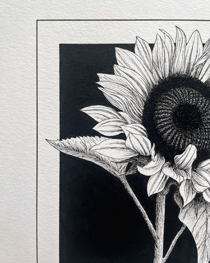 Sunflower Original